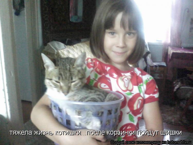 Котоматрица: тяжела жизнь котишки...после корзинки пойдут шишки