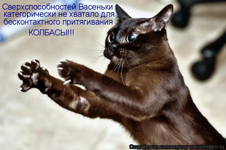 Сверхспособностей Васеньки категорически не хватало для бесконтактного притягивания КОЛБАСЫ!!!... Котоматрица: Сверхспособностей Васеньки категорически не хватало для бесконтактного притягивания КОЛБАСЫ!!!