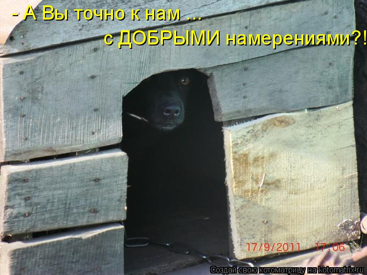 - А Вы точно к нам ... с ДОБРЫМИ намерениями?!... Котоматрица: - А Вы точно к нам ... с ДОБРЫМИ намерениями?!