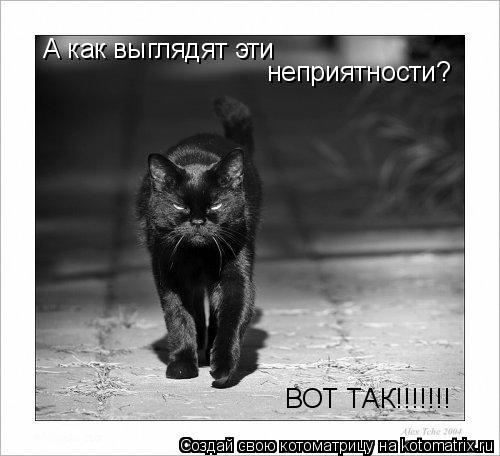 А как выглядят эти неприятности? ВОТ ТАК!!!!!!!... Котоматрица: А как выглядят эти неприятности? ВОТ ТАК!!!!!!!