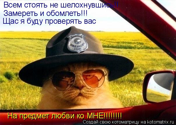 Всем стоять не шелохнувшись!! Замереть и обомлеть!!! Щас я буду проверять вас На предмет любви ко МНЕ... Котоматрица: Всем стоять не шелохнувшись!! Замереть и обомлеть!!! Щас я буду проверять вас На предмет любви ко МНЕ!!!!!!!!