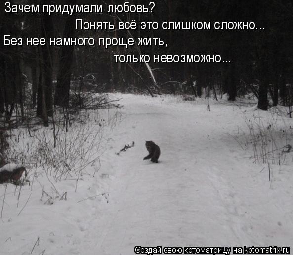 Котоматрица: Зачем придумали любовь?  Понять всё это слишком сложно... Без нее намного проще жить, только невозможно...