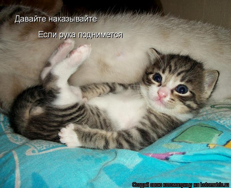 Котоматрица: Давайте наказывайте Если рука поднимется