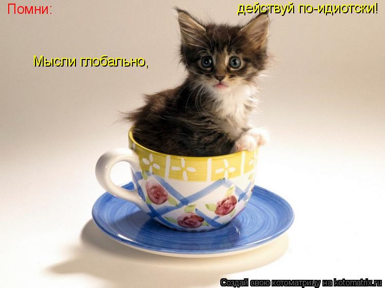Помни: Мысли глобально, действуй по-идиотски!... Котоматрица: Помни: Мысли глобально, действуй по-идиотски!