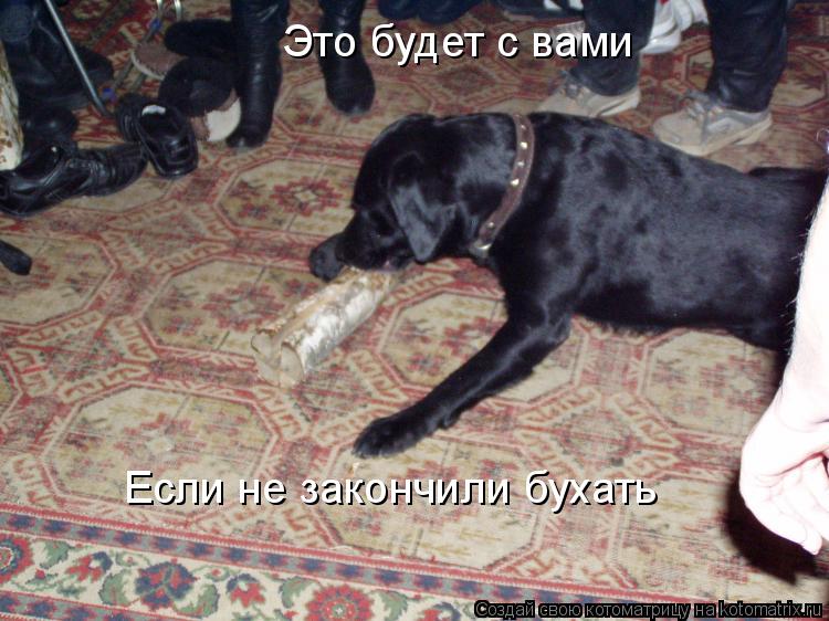 Это будет с вами Если не закончили бухать... Котоматрица: Это будет с вами Если не закончили бухать