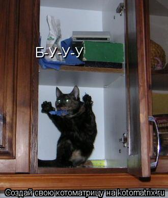 Б-У-У-У... Котоматрица: Б-У-У-У