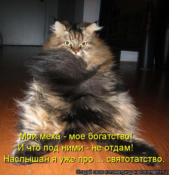 Мои меха - мое богатство! И что под ними - не отдам! Наслышан я уже про ... святотатство.... Котоматрица: Мои меха - мое богатство! И что под ними - не отдам! Наслышан я уже про ... святотатство.