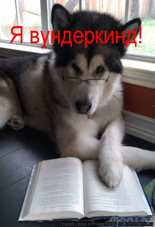 Я вундеркинд!... Котоматрица: Я вундеркинд!