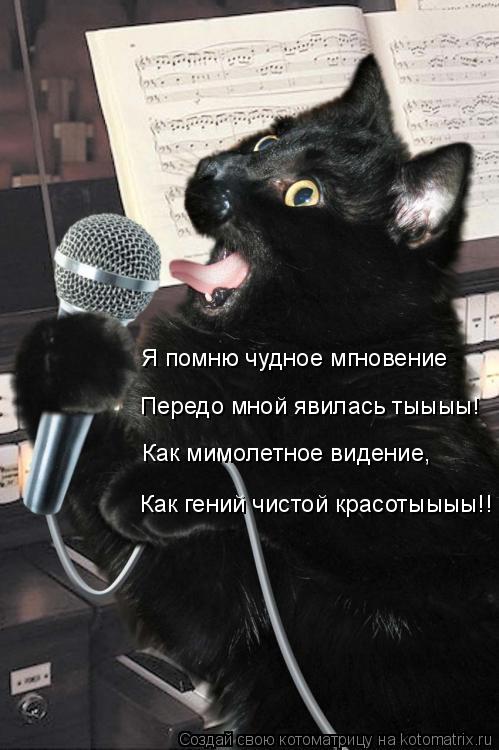 Котоматрица: Я помню чудное мгновение Передо мной явилась тыыыы! Как мимолетное видение, Как гений чистой красотыыыы!!