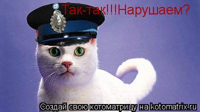 Котоматрица: Так-так!!!Нарушаем?