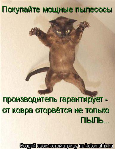 Котоматрица: Покупайте мощные пылесосы  производитель гарантирует  - от ковра оторвётся не только  ПЫЛЬ...