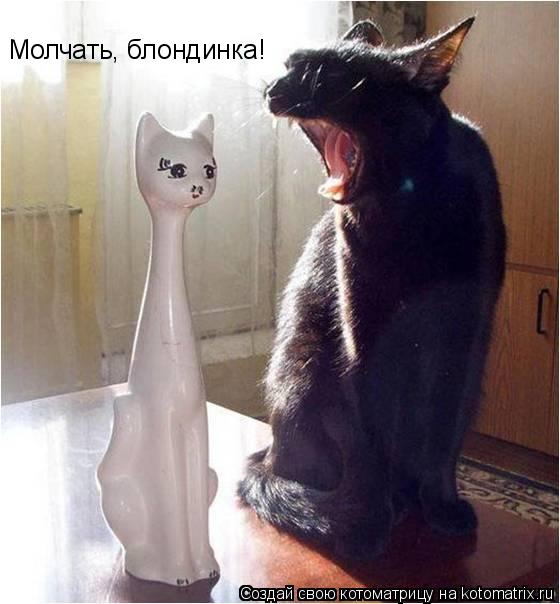 Котоматрица: Молчать, блондинка!