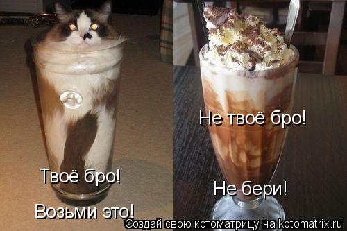 Котоматрица: Возьми это! Твоё бро! Не твоё бро! Не бери!