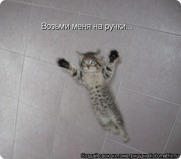 Котоматрица: Возьми меня на ручки...