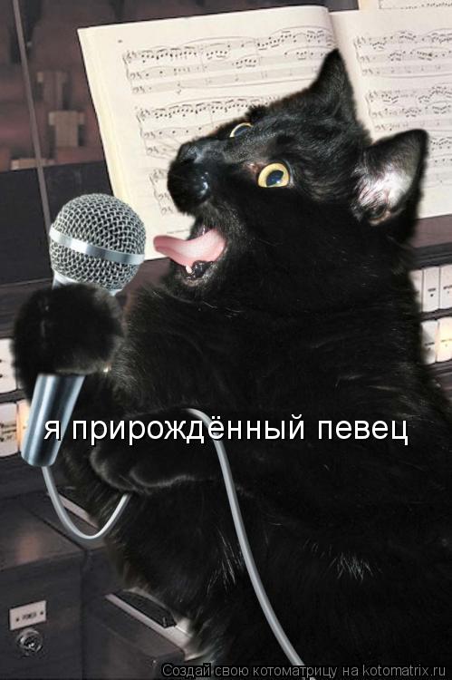Котоматрица: я прирождённый певец