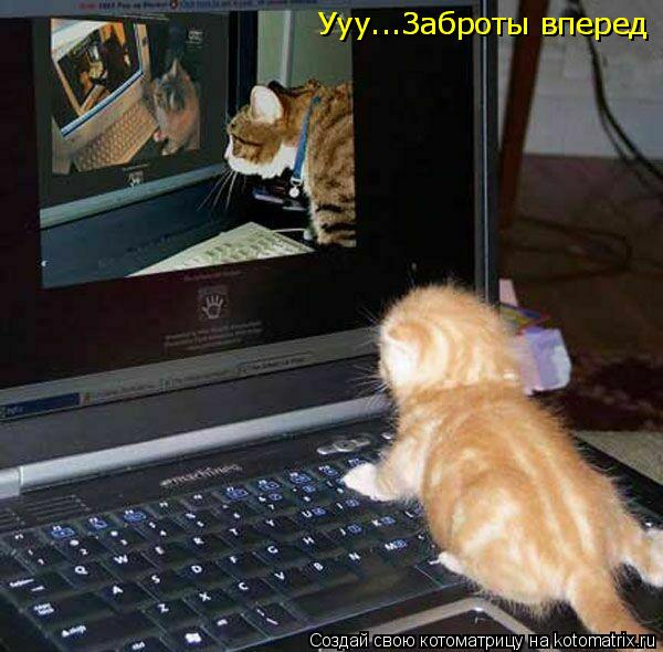 Котоматрица: Ууу...Заброты вперед Ууу...Заброты вперед