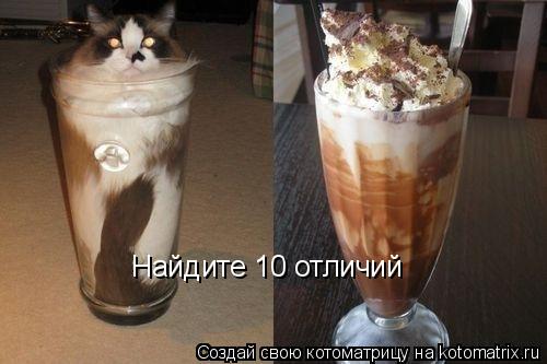Найдите 10 отличий... Котоматрица: Найдите 10 отличий