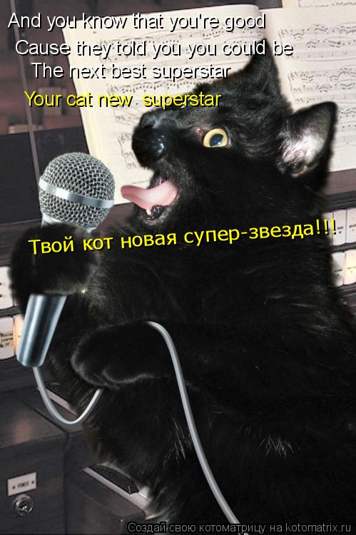 And you know that you're good Cause they told you you could be The next best superstar Your cat new ... Котоматрица: And you know that you're good Cause they told you you could be The next best superstar Your cat new superstar Твой кот новая супер-звезда!!!