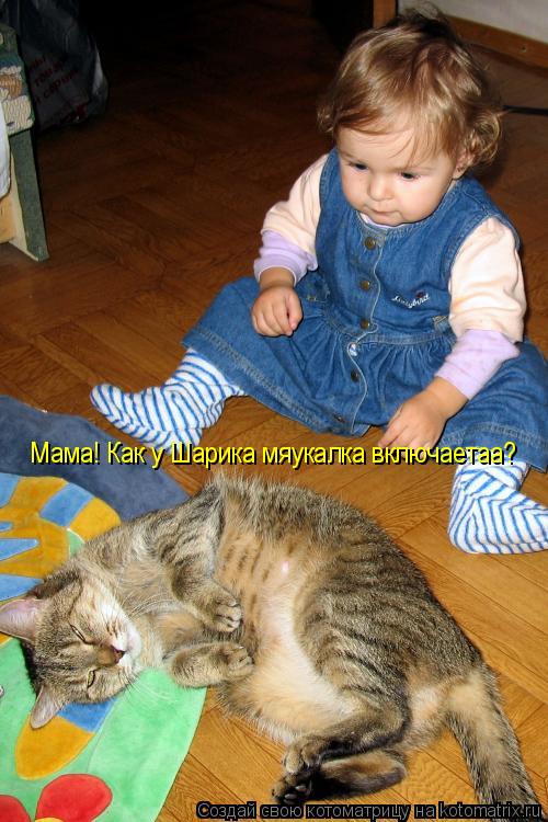 Мама! Как у Шарика мяукалка включаетаа?... Котоматрица: Мама! Как у Шарика мяукалка включаетаа?