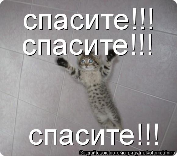 спасите!!! спасите!!! спасите!!!... Котоматрица: спасите!!! спасите!!! спасите!!!