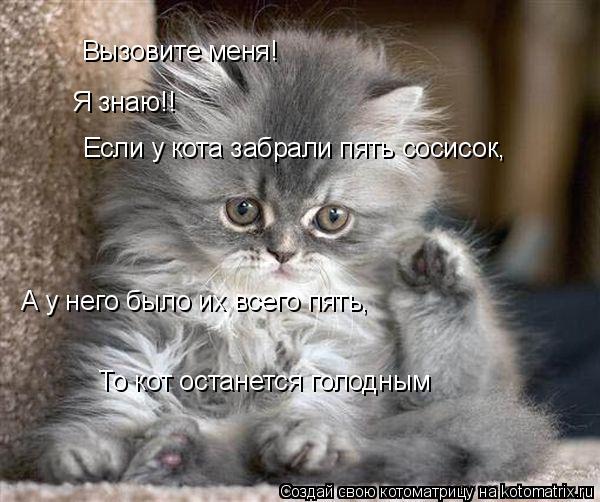 Вызовите меня! Я знаю!! Если у кота забрали пять сосисок, А у него было их всего пять, То кот останет... Котоматрица: Вызовите меня! Я знаю!! Если у кота забрали пять сосисок, А у него было их всего пять, То кот останется голодным