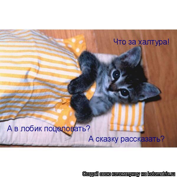 Что за халтура! А в лобик поцеловать? А сказку рассказать?... Котоматрица: Что за халтура! А в лобик поцеловать? А сказку рассказать?