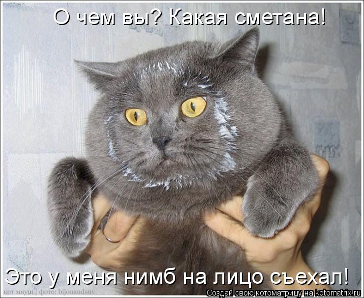 Это у меня нимб на лицо съехал! О чем вы? Какая сметана!... Котоматрица: Это у меня нимб на лицо съехал! О чем вы? Какая сметана!