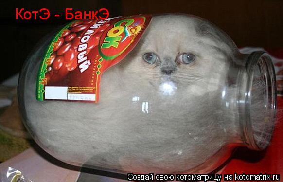КотЭ - БанкЭ... Котоматрица: КотЭ - БанкЭ