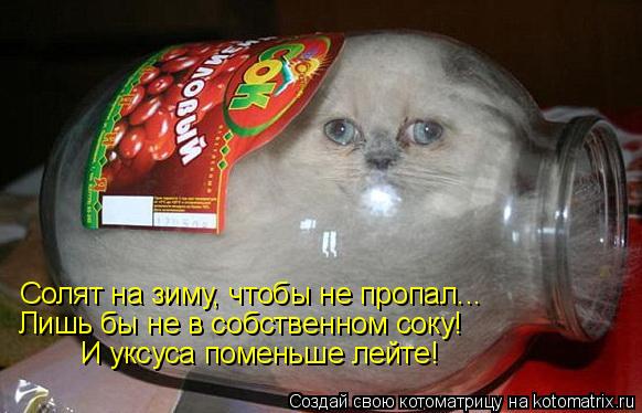 Солят на зиму, чтобы не пропал... Лишь бы не в собственном соку! И уксуса поменьше лейте!... Котоматрица: Солят на зиму, чтобы не пропал... Лишь бы не в собственном соку! И уксуса поменьше лейте!