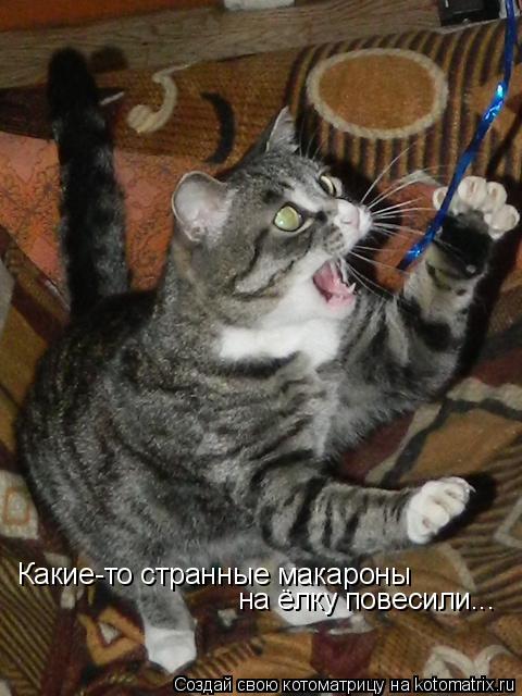 Какие-то странные макароны на ёлку повесили...... Котоматрица: Какие-то странные макароны на ёлку повесили...