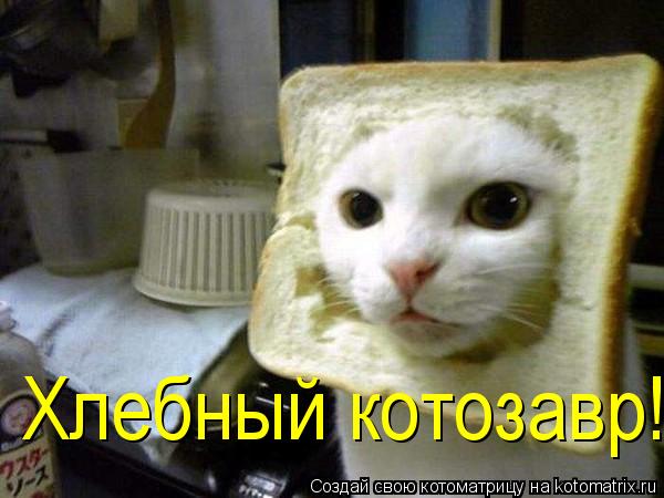 Хлебный котозавр!... Котоматрица: Хлебный котозавр!