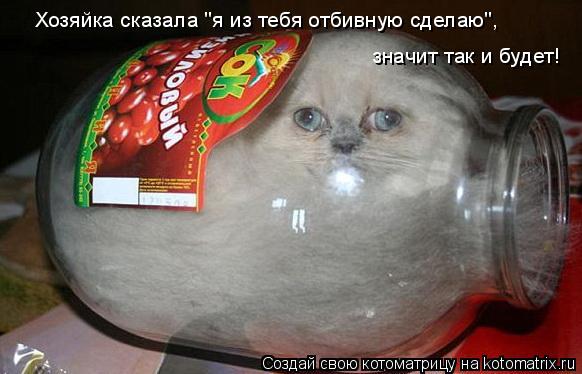 Хозяйка сказала "я из тебя отбивную сделаю", значит так и будет!... Котоматрица: Хозяйка сказала "я из тебя отбивную сделаю", значит так и будет!