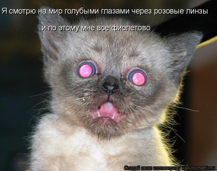Я смотрю на мир голубыми глазами через розовые линзы и по этому мне все фиолетово... Котоматрица: Я смотрю на мир голубыми глазами через розовые линзы и по этому мне все фиолетово