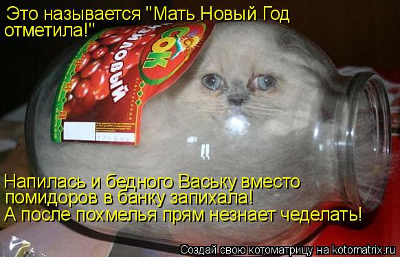 Это называется "Мать Новый Год отметила!" Напилась и бедного Ваську вместо помидоров в банку запихала... Котоматрица: Это называется "Мать Новый Год отметила!" Напилась и бедного Ваську вместо помидоров в банку запихала! А после похмелья прям незнает чедела