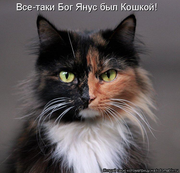 Все-таки Бог Янус был Кошкой!... Котоматрица: Все-таки Бог Янус был Кошкой!