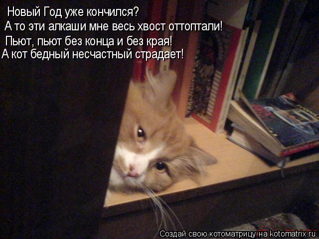 Новый Год уже кончился? А то эти алкаши мне весь хвост оттоптали! Пьют, пьют без конца и без края Пью... Котоматрица: Новый Год уже кончился? А то эти алкаши мне весь хвост оттоптали! Пьют, пьют без конца и без края Пьют, пьют без конца и без края! А кот бедный