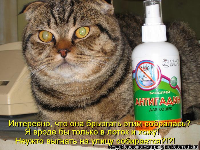Интересно, что она брызгать этим собралась? Я вроде бы только в лоток и хожу! Неужто выгнать на улицу... Котоматрица: Интересно, что она брызгать этим собралась? Я вроде бы только в лоток и хожу! Неужто выгнать на улицу собирается?!?!