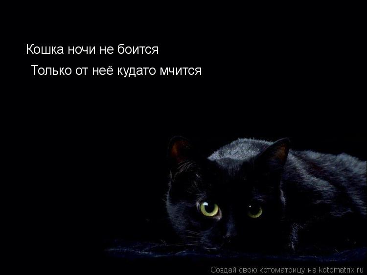 Кошка ночи не боится Только от неё кудато мчится... Котоматрица: Кошка ночи не боится Только от неё кудато мчится