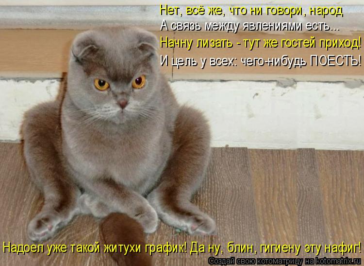 А связь между явлениями есть... Нет, всё же, что ни говори, народ Начну лизать - тут же гостей приход... Котоматрица: А связь между явлениями есть... Нет, всё же, что ни говори, народ Начну лизать - тут же гостей приход! И цель у всех: чего-нибудь ПОЕСТЬ! Надоел у