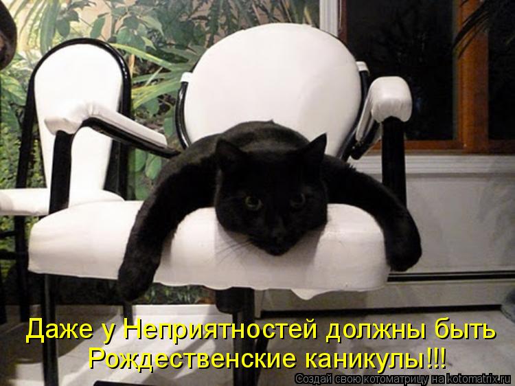 Рождественские каникулы!!! Даже у Неприятностей должны быть... Котоматрица: Рождественские каникулы!!! Даже у Неприятностей должны быть