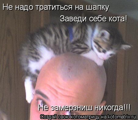 Не надо тратиться на шапку Заведи себе кота! Не замерзниш никогда!!!... Котоматрица: Не надо тратиться на шапку Заведи себе кота! Не замерзниш никогда!!!