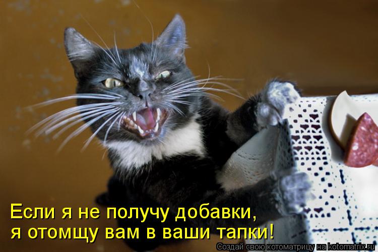 я отомщу вам в ваши тапки! Если я не получу добавки,... Котоматрица: я отомщу вам в ваши тапки! Если я не получу добавки,
