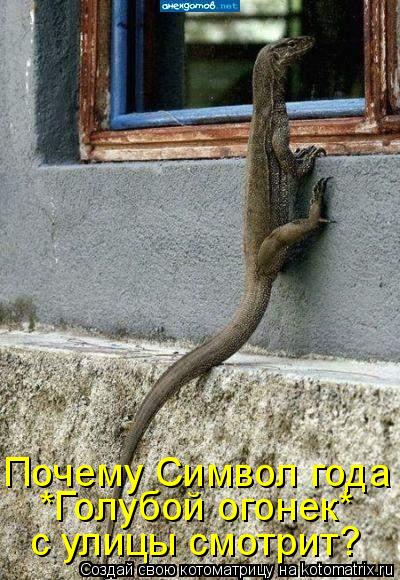 с улицы смотрит? Почему Символ года *Голубой огонек*... Котоматрица: с улицы смотрит? Почему Символ года *Голубой огонек*