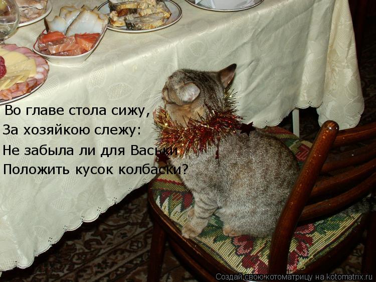 Во главе стола сижу, За хозяйкою слежу: Не забыла ли для Васьки Положить кусок колбаски?... Котоматрица: Во главе стола сижу, За хозяйкою слежу: Не забыла ли для Васьки Положить кусок колбаски?