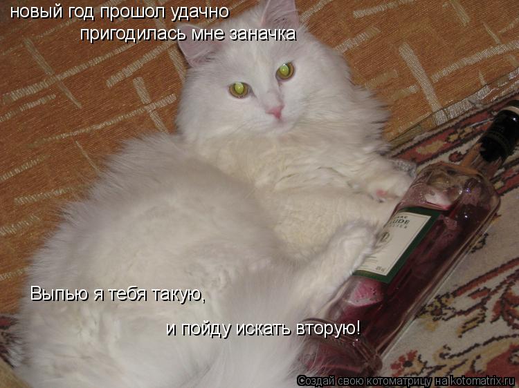 новый год прошол удачно пригодилась мне заначка и пойду искать вторую! Выпью я тебя такую,... Котоматрица: новый год прошол удачно пригодилась мне заначка и пойду искать вторую! Выпью я тебя такую,