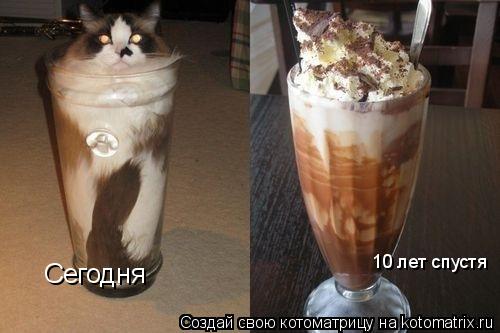 Сегодня 10 лет спустя... Котоматрица: Сегодня 10 лет спустя