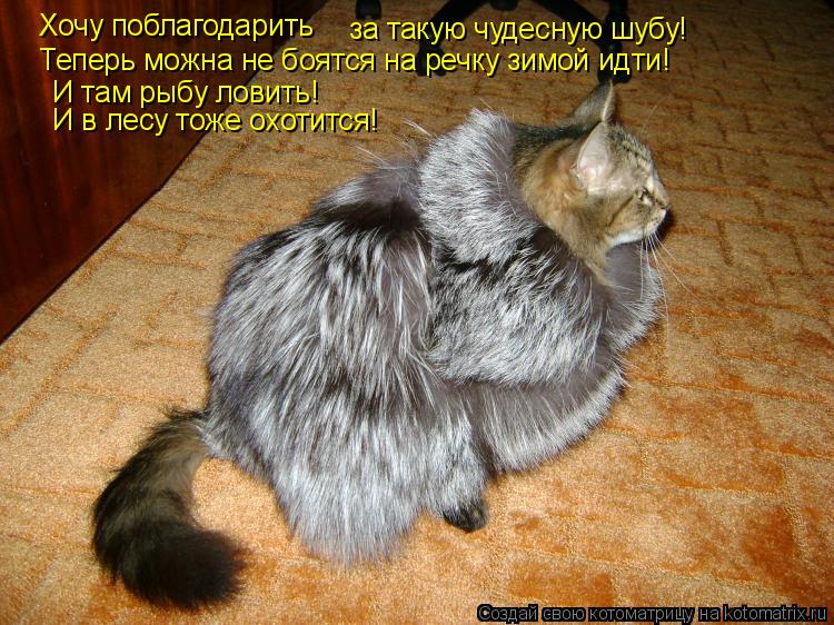 за такую чудесную шубу! Хочу поблагодарить Теперь можна не боятся на речку зимой идти! И там рыбу лов... Котоматрица: за такую чудесную шубу! Хочу поблагодарить Теперь можна не боятся на речку зимой идти! И там рыбу ловить! И в лесу тоже охотится!
