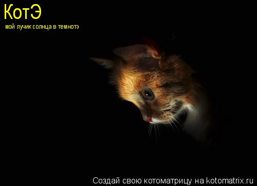 КотЭ КотЭ мой лучик солнца в темнотэ... Котоматрица: КотЭ КотЭ мой лучик солнца в темнотэ