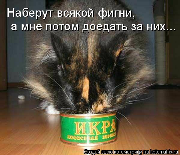 Наберут всякой фигни, а мне потом доедать за них...... Котоматрица: Наберут всякой фигни, а мне потом доедать за них...
