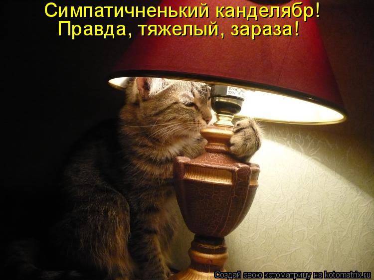 Симпатичненький канделябр! Правда, тяжелый, зараза!... Котоматрица: Симпатичненький канделябр! Правда, тяжелый, зараза!